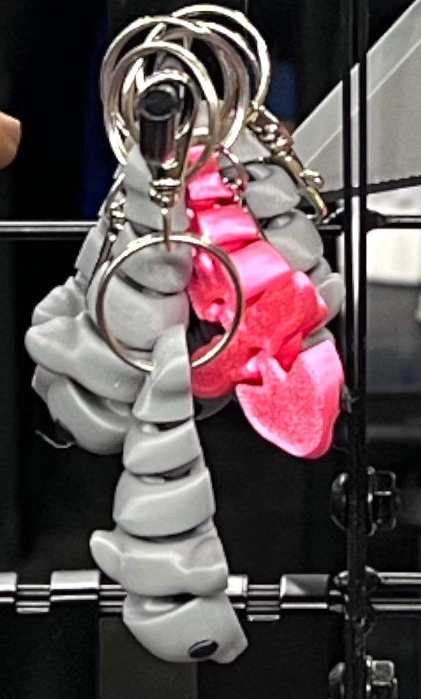 3D Printed Dolphin Keychain