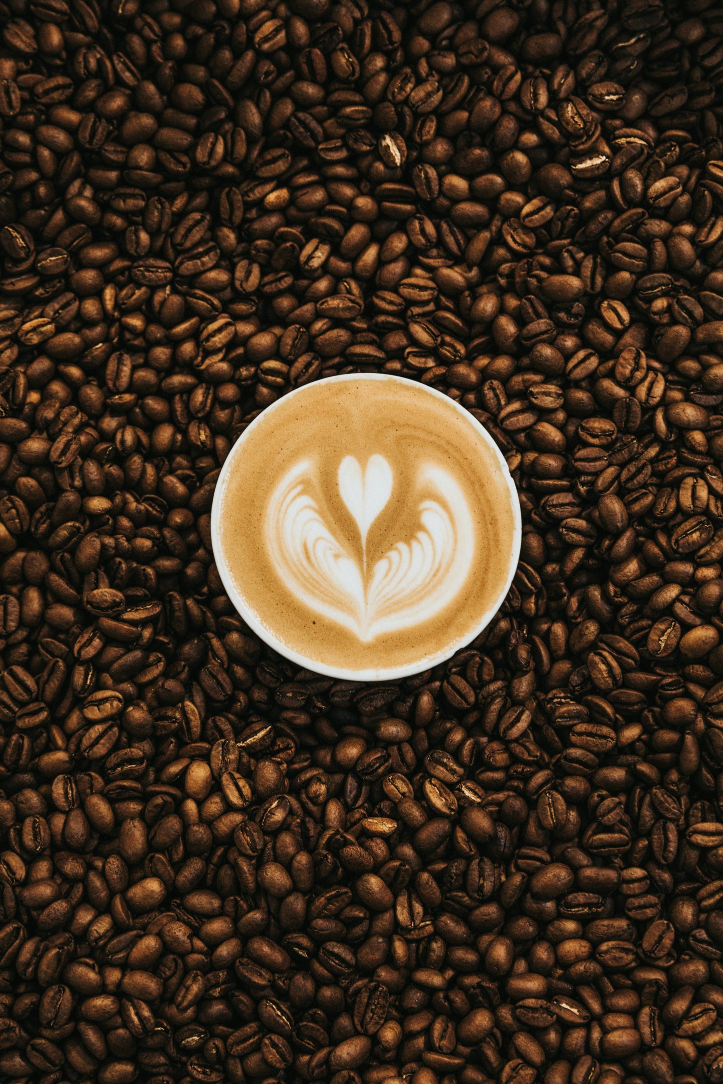 Buy Ant & Blair Coffee