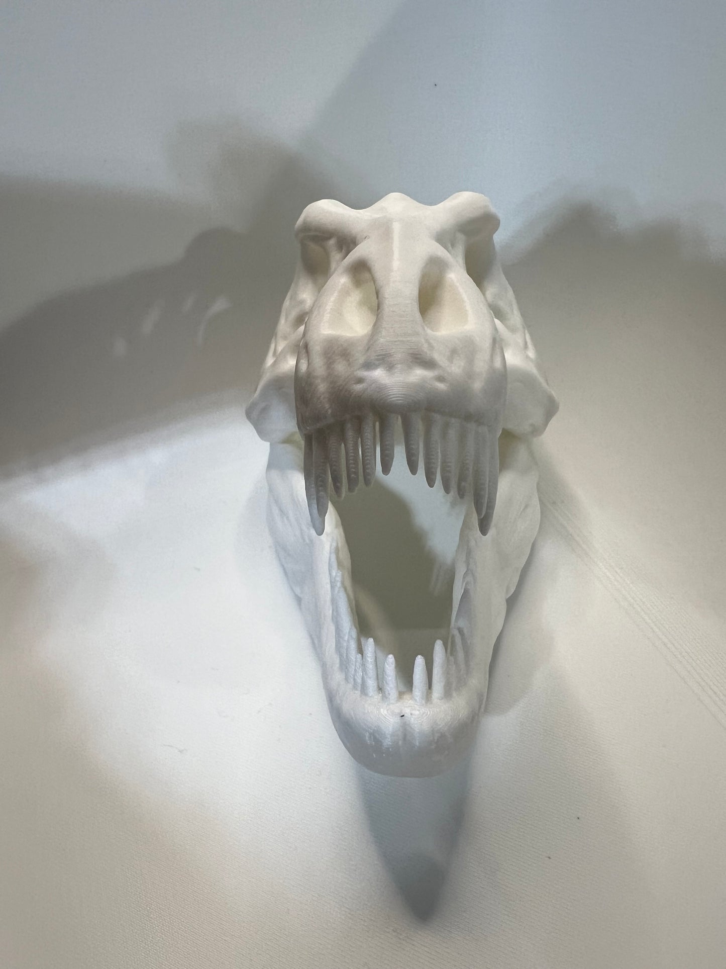 Dinosaur Skull (small)