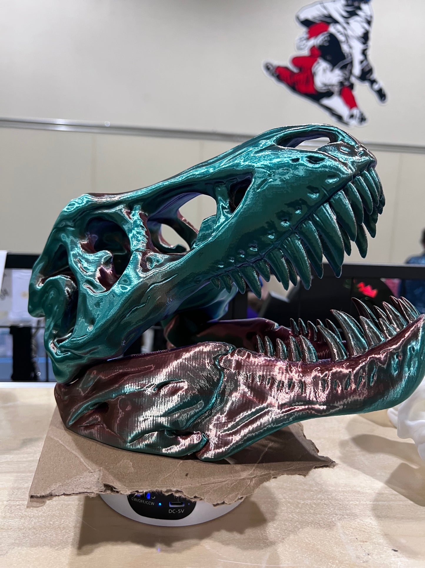 Dinosaur Skull (large)