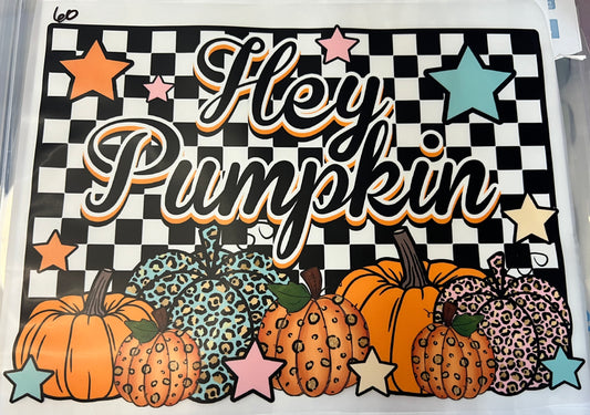 Hey Pumpkin (Checkered)