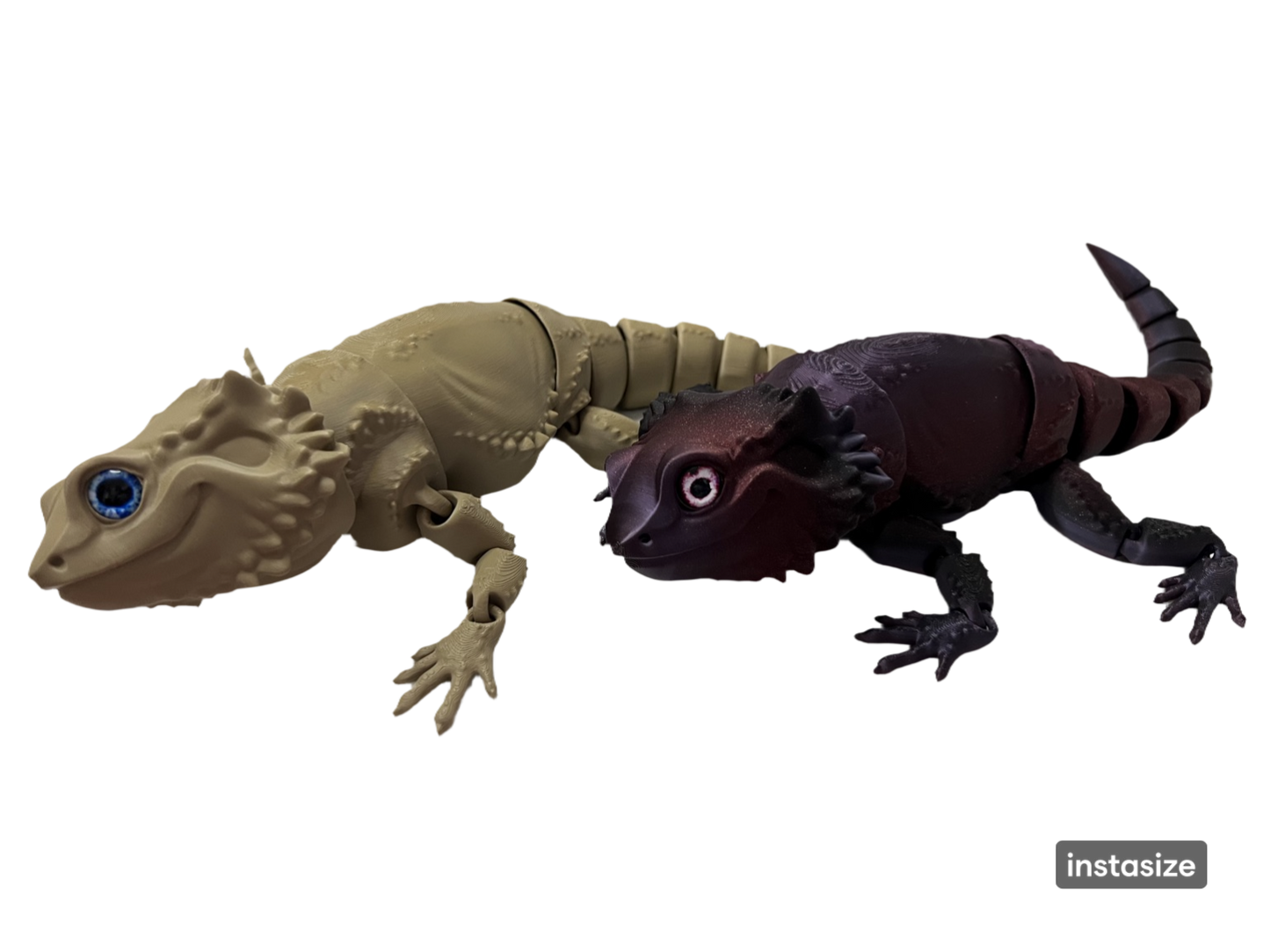 Bearded Dragon