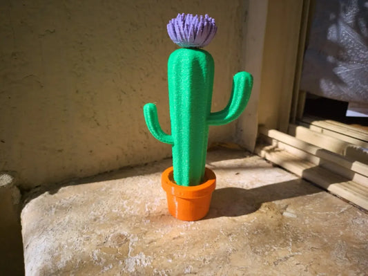 Cactus w/ Flower