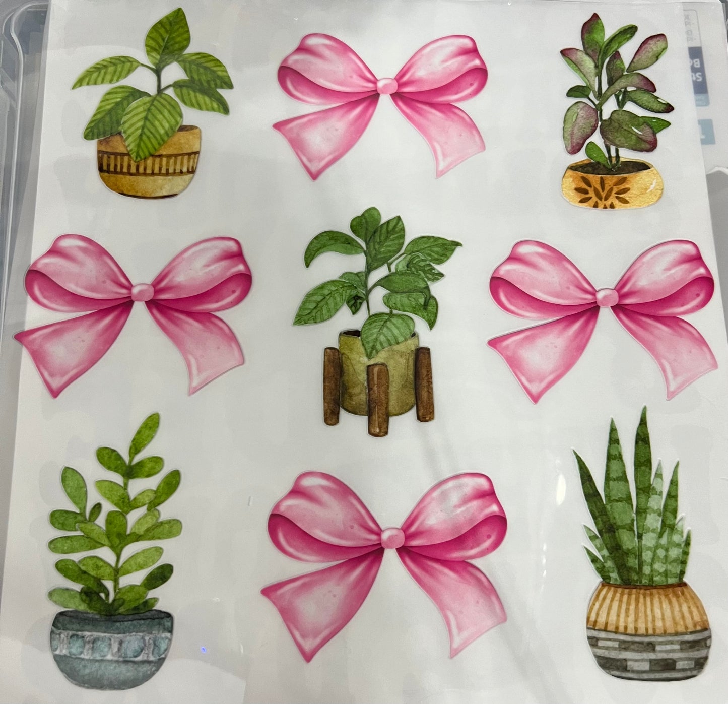 Plants & Bows