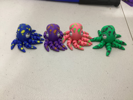 Octopus Medium